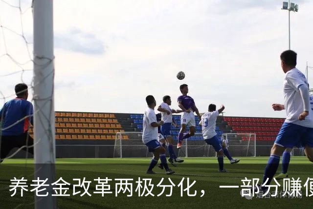 养老金改革两极分化，一部分赚便宜，一部分吃亏，公平该如何平衡